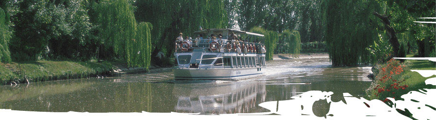 tour e crociere in riviera del brenta